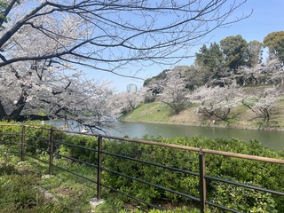 IMG_0813.jpeg