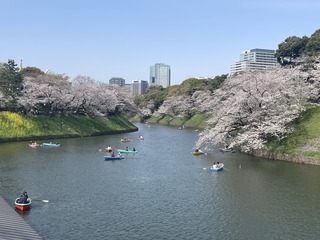 IMG_0814.jpeg